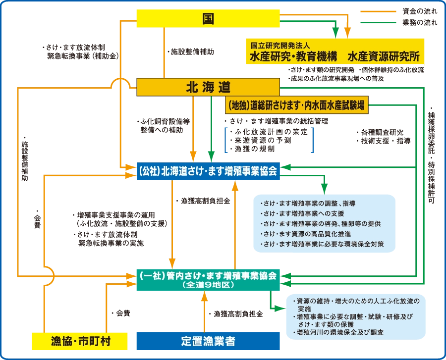 事業体制図