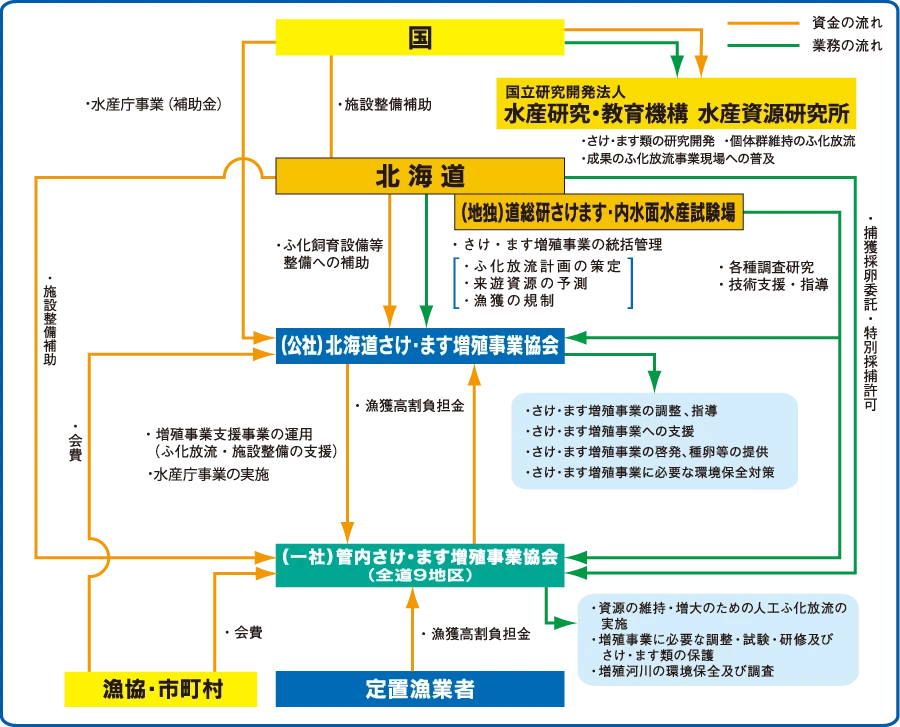 事業体制図